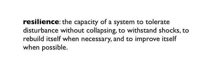 resilient-definition3